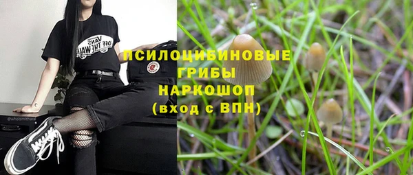 стафф Абаза