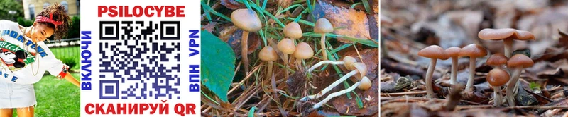 Псилоцибиновые грибы MAGIC MUSHROOMS  Хасавюрт 