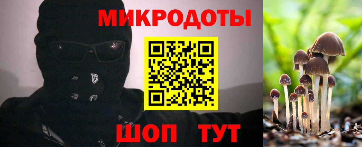 Хасавюрт  Псилоцибиновые грибы GOLDEN TEACHER  Вход с VPN  Галлюциногенные грибы мухоморы 